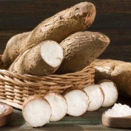 Arrowroot