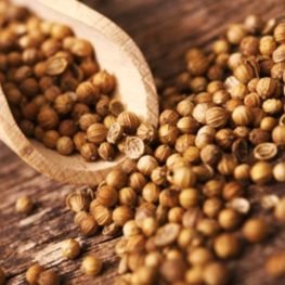 Coriander Seeds