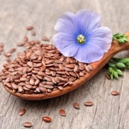 Flax Seeds